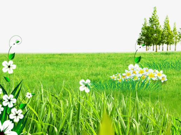 要想草坪養(yǎng)護(hù)好，需要注意這幾項(xiàng)