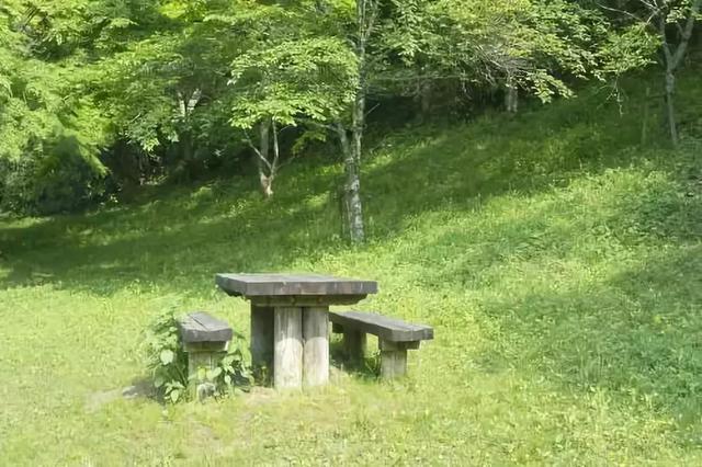草坪有哪幾種分類你知道嗎？