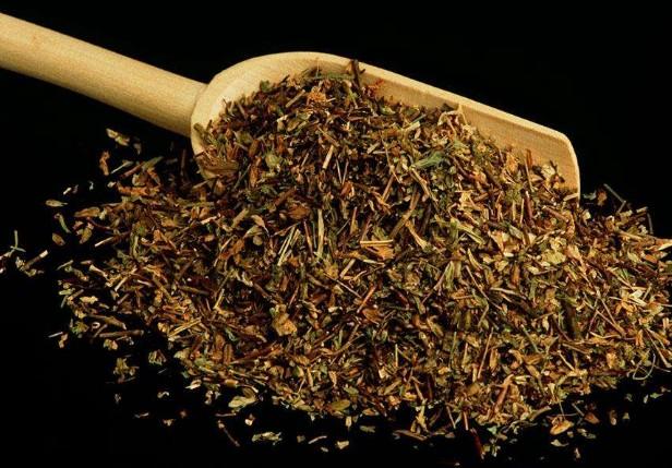 要想小米草種的好，要學(xué)會種植的技巧與方法