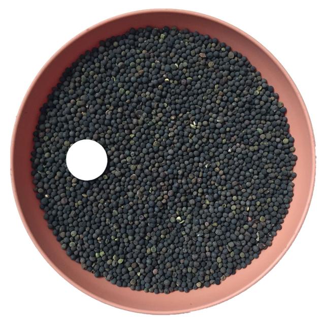 優(yōu)質(zhì)養(yǎng)蜂蜜源植物、牧草光葉紫花苕的種植技術(shù)