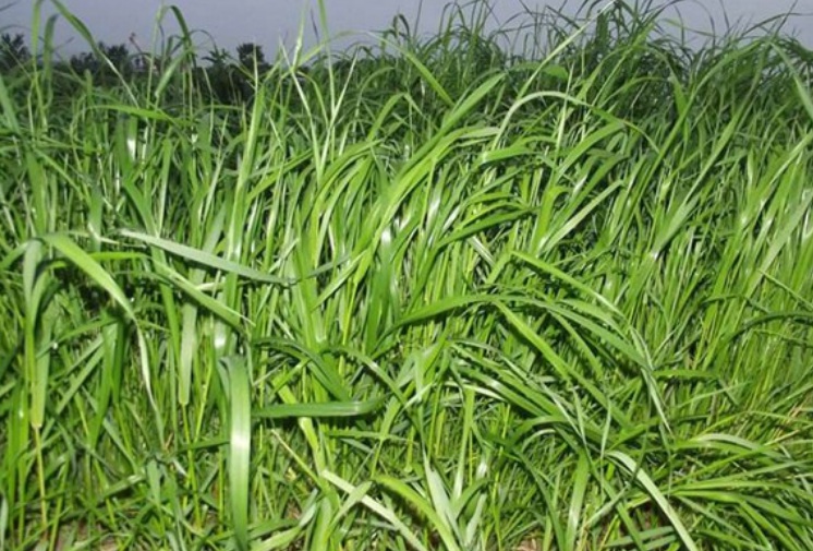 賣(mài)賣(mài).jpg