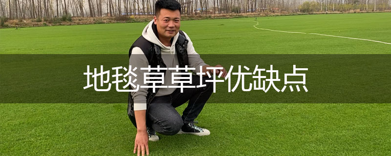 地毯草草坪優(yōu)缺點
